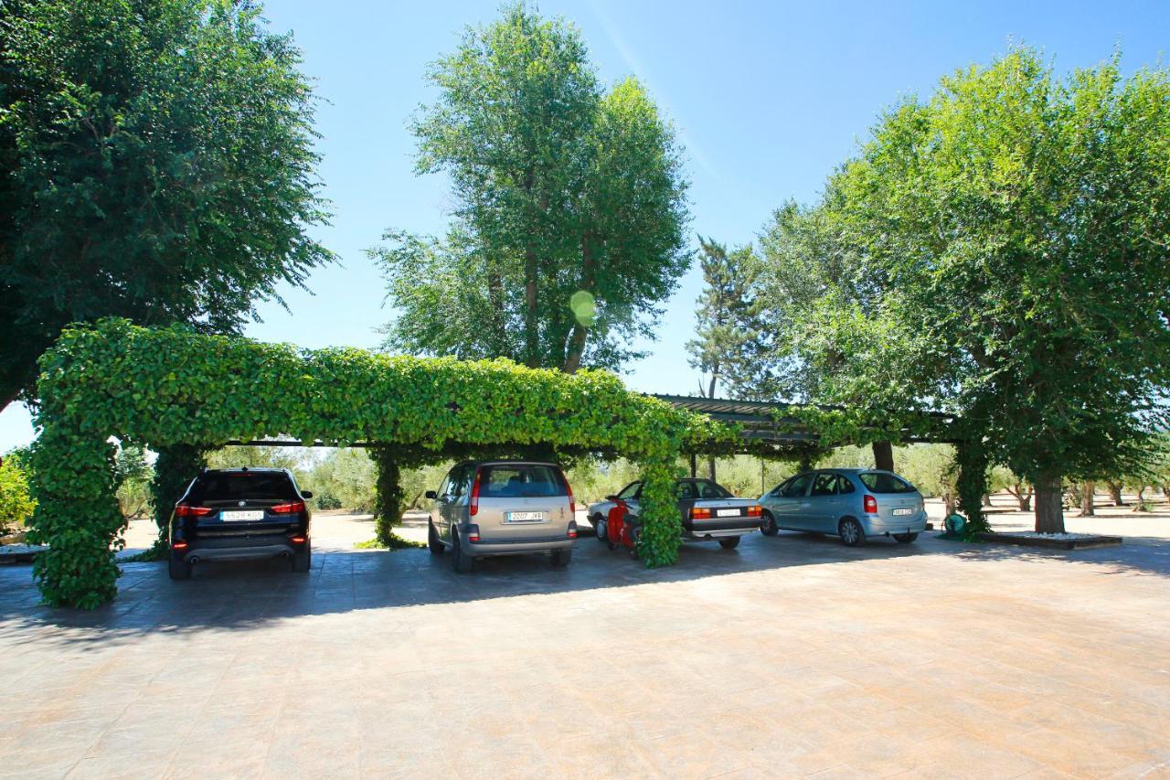 Senia Tomaset II Vila Onil Exterior foto